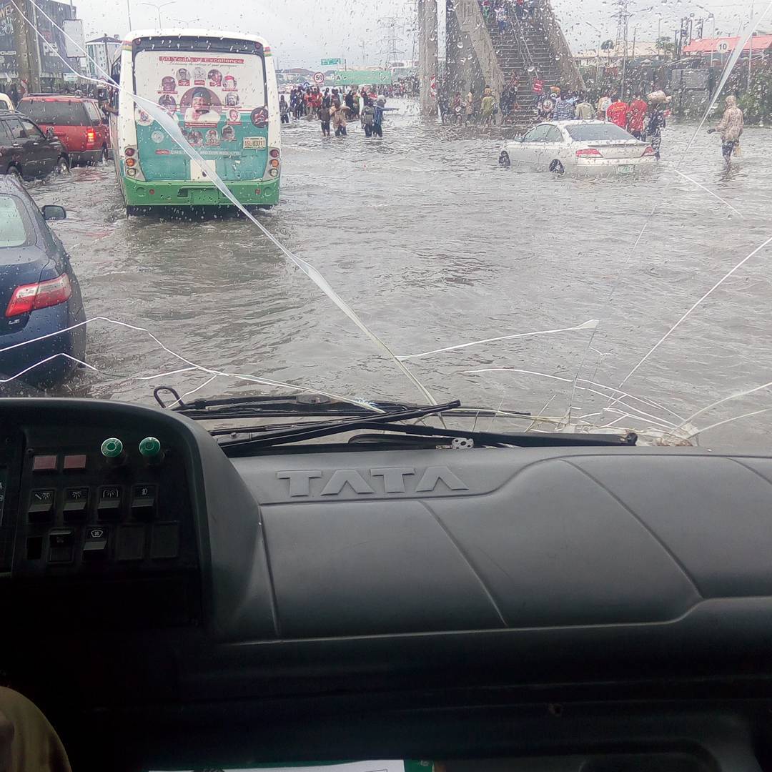 19762026_274059469736901_273561632611762176_n