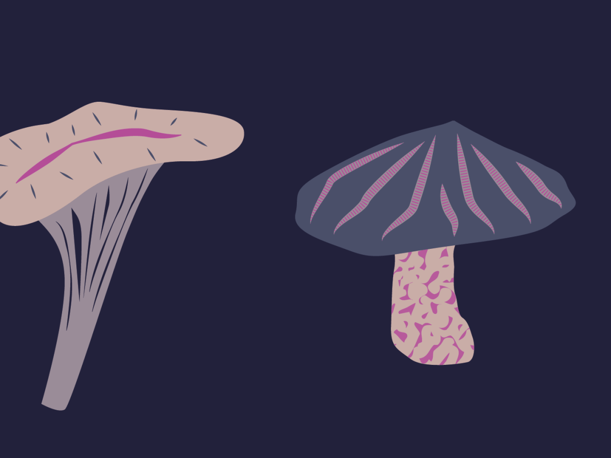 Sustainable Paths within Capitalist&nbsp;Ruins